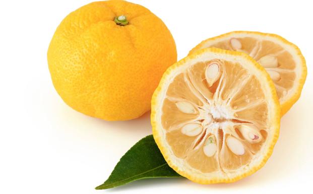Limon es un citrico
